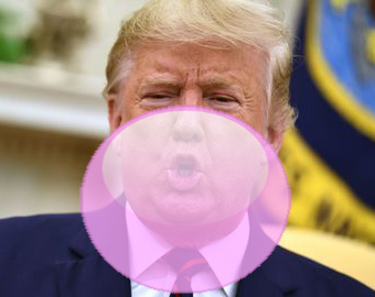  Donald Trump Bubble Gum 
